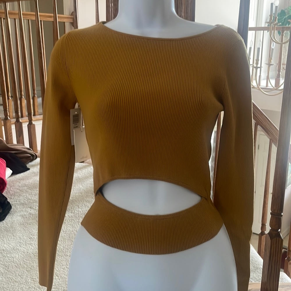 Brand new Wilfred orange top from aritizia.